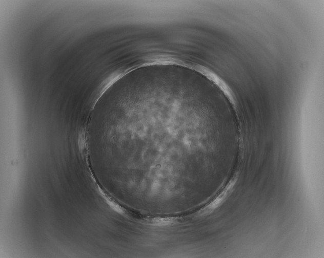 X0000112201385200908071425
