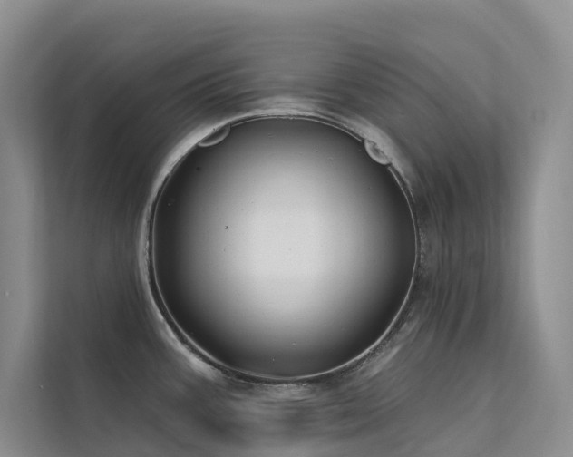 X0000112201387200908071425