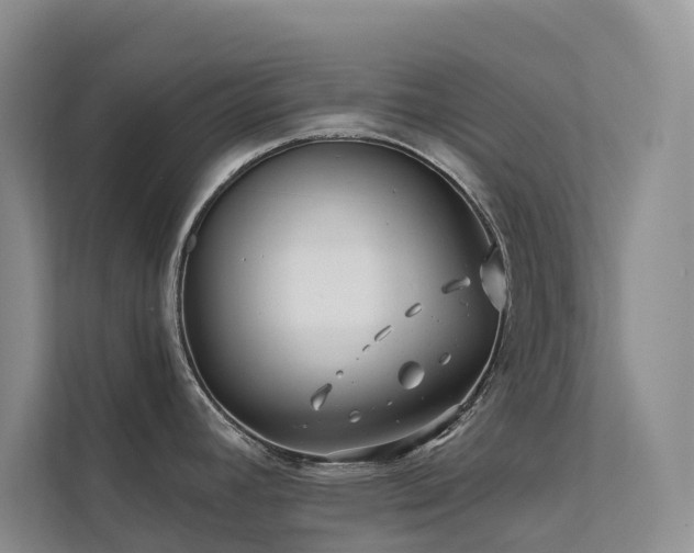 X0000112201392200908071425