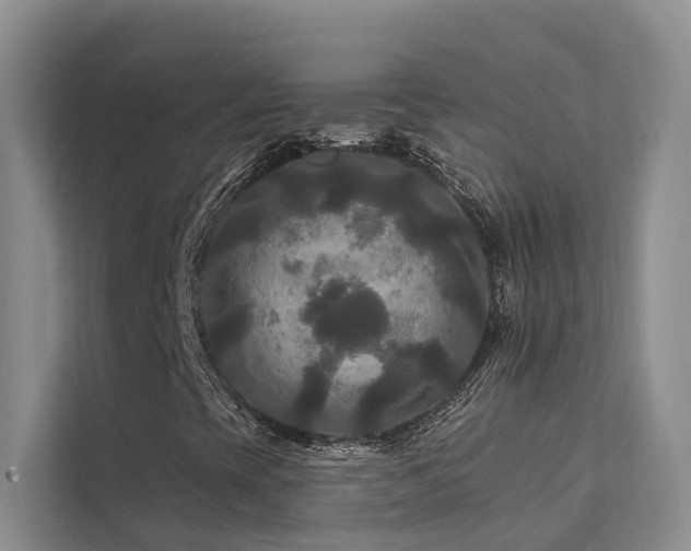 X0000112201393200908071424