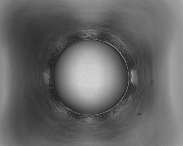 X0000112201395200908071424