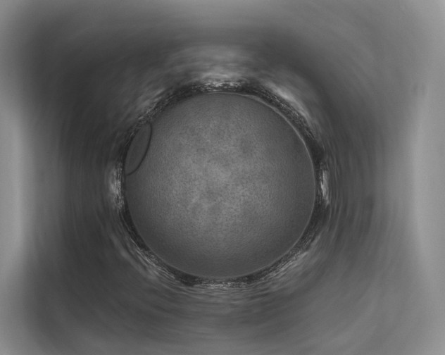 X0000112201396200908071424