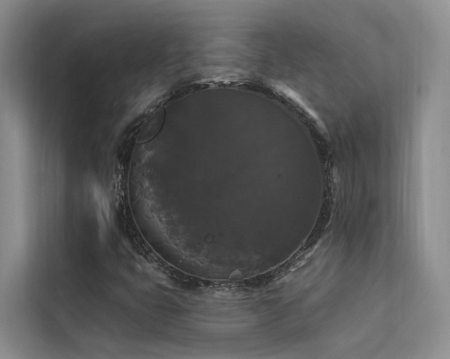 X0000112201399200908071425