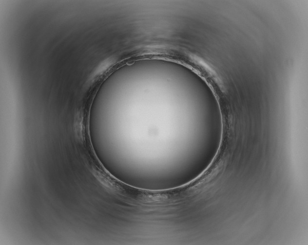 X0000112201403200908071425