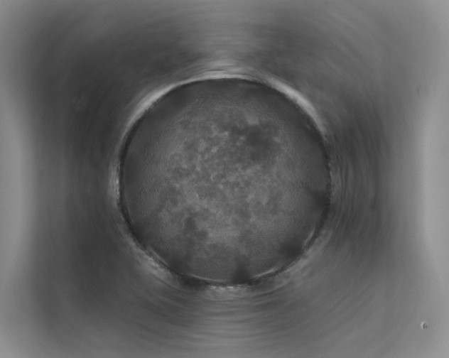 X0000112201415200908071425