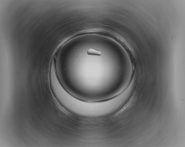 X0000112201417200908071425