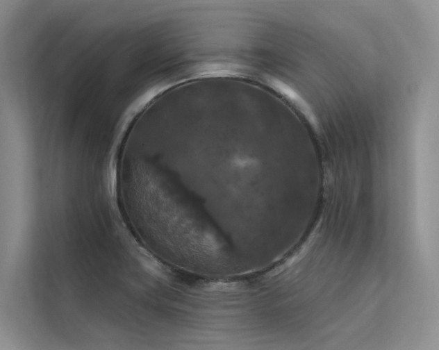 X0000112201419200908071425