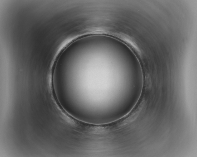 X0000112201424200908071425