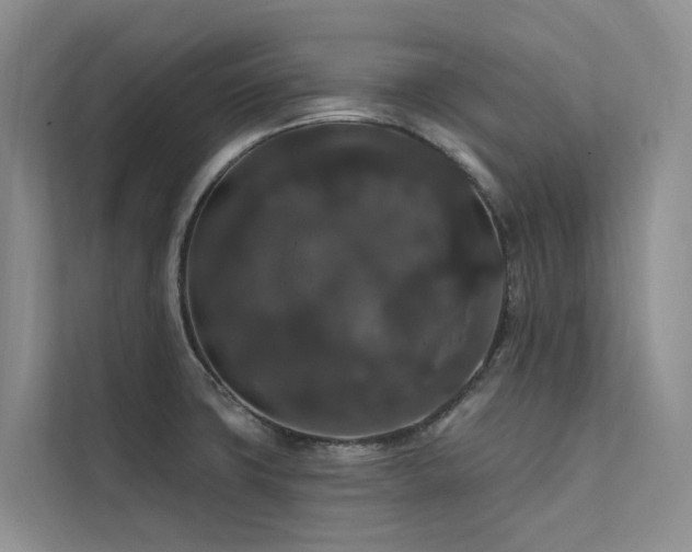 X0000112201427200908071425