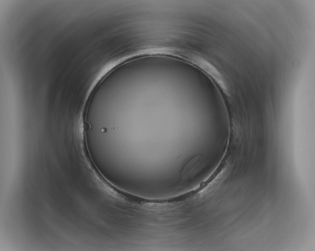 X0000112201428200908071425