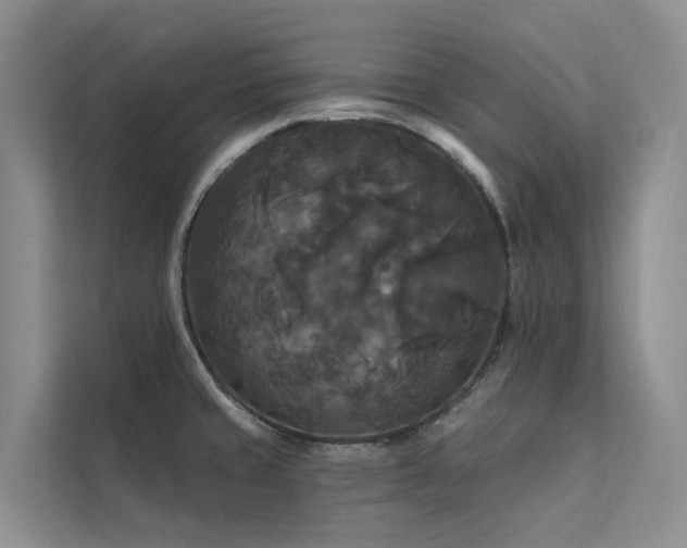 X0000112201429200908071425