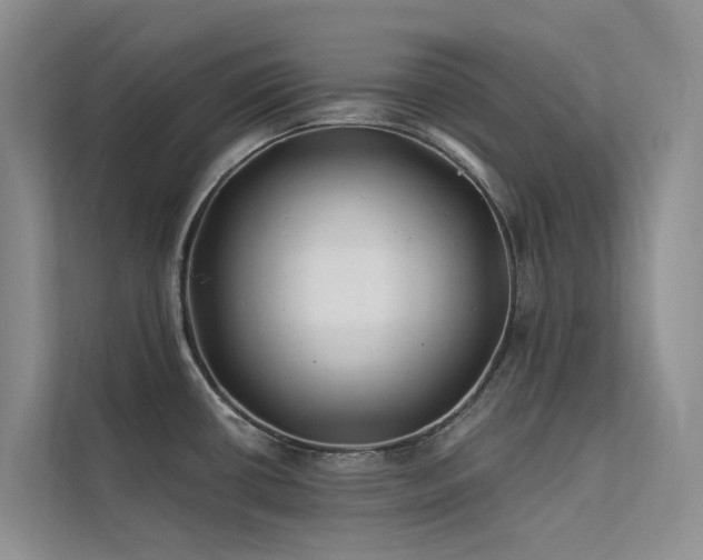 X0000112201434200908071425