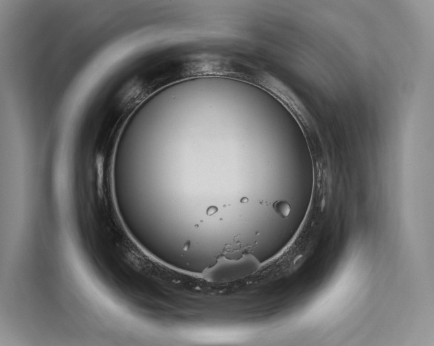 X0000112201439200908071425