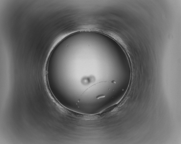 X0000112201440200908071425