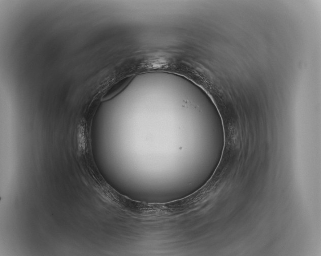 X0000112201442200908071424