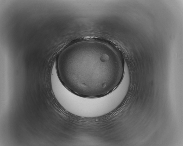 X0000112201444200908071424