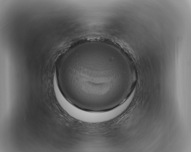 X0000112201445200908071424