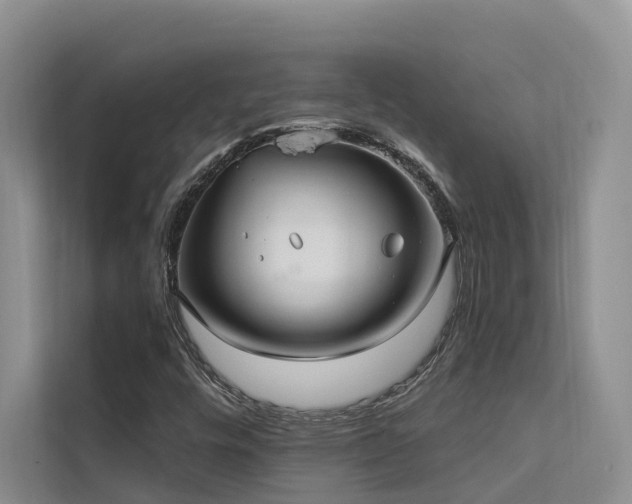 X0000112201448200908071424