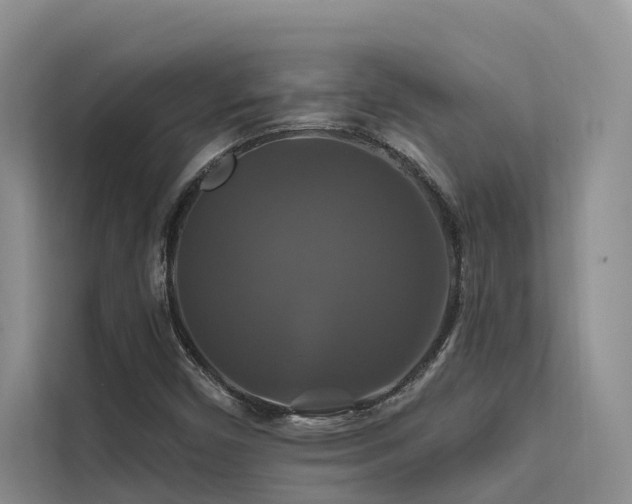 X0000112201450200908071424