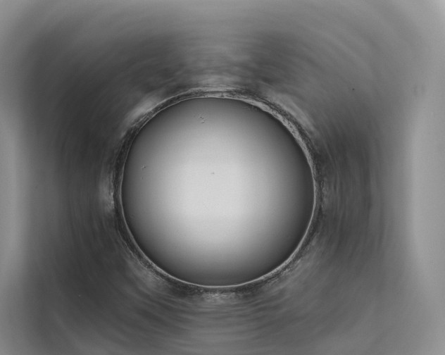 X0000112201451200908071424
