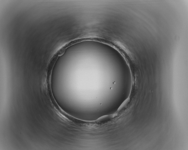 X0000112201452200908071424
