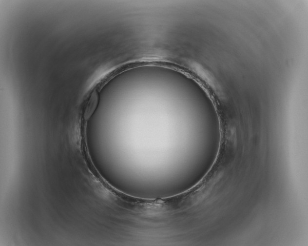 X0000112201456200908071424