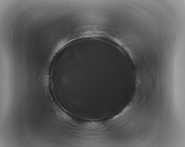 X0000112201459200908071424