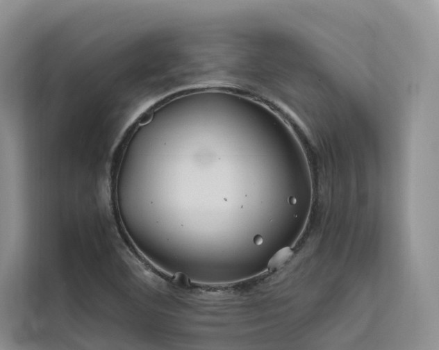 X0000112201460200908071424