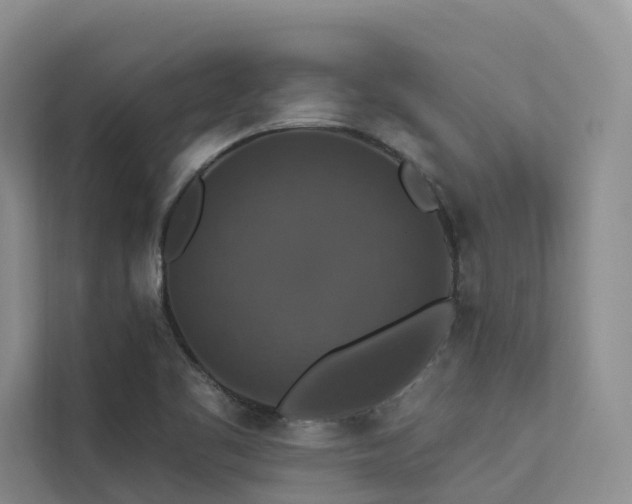 X0000112201461200908071424