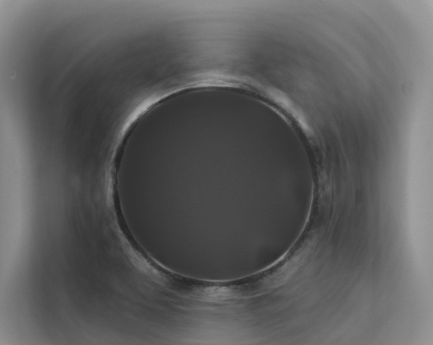 X0000112201463200908071424
