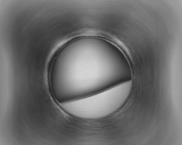 X0000112201464200908071424
