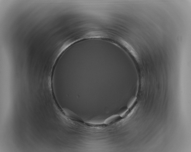 X0000112201465200908071424
