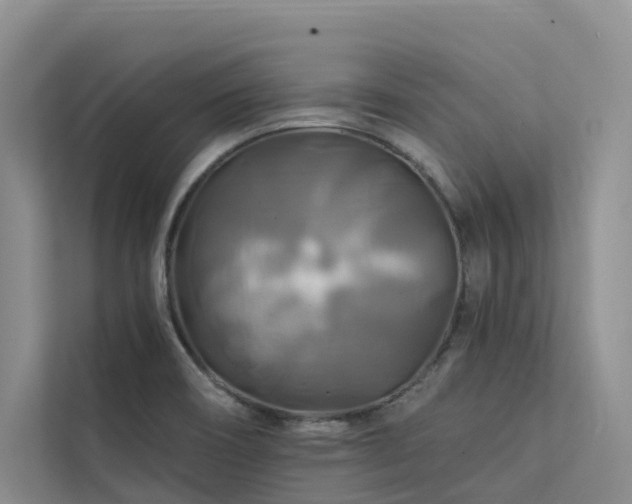 X0000112201466200908071424