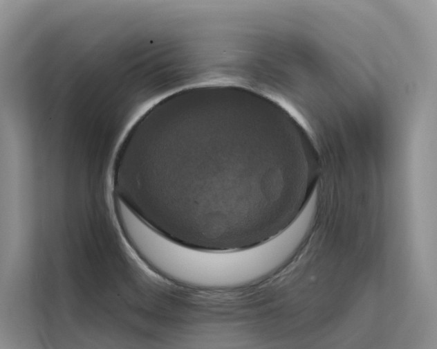 X0000112201468200908071424