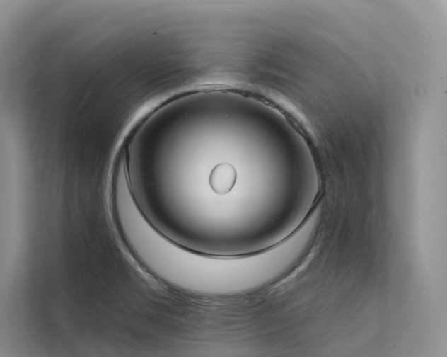 X0000112201469200908071424