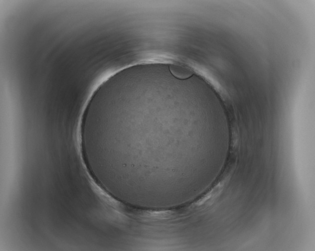 X0000112201471200908071424