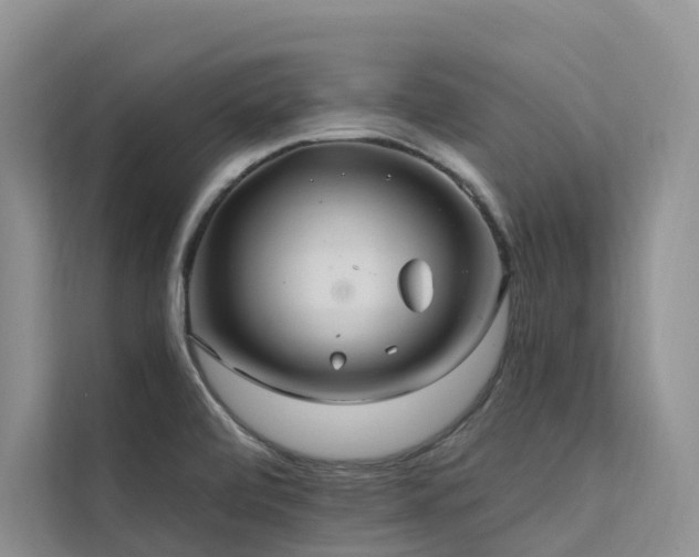X0000112201472200908071424