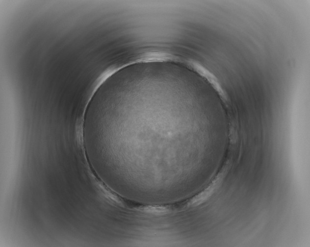 X0000112201473200908071424