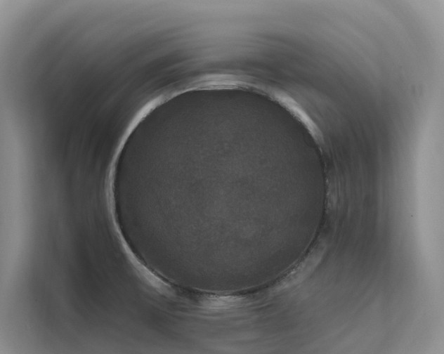 X0000112201475200908071424