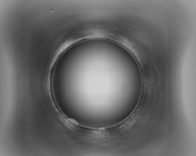 X0000112201480200908071424
