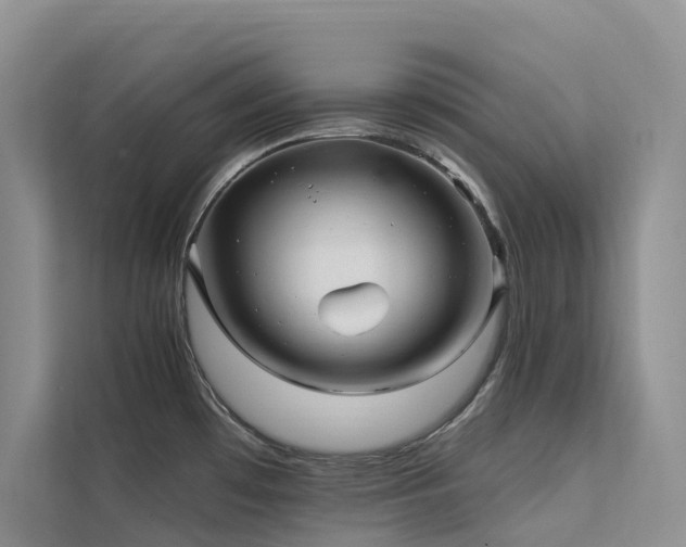 X0000112201481200908071424