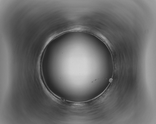 X0000112201483200908071424
