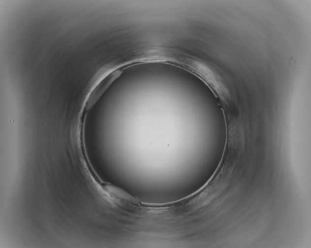 X0000112201484200908071424