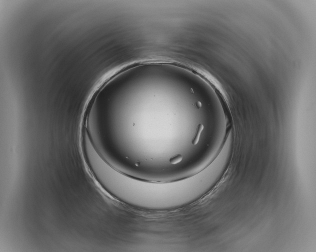 X0000112201485200908071424