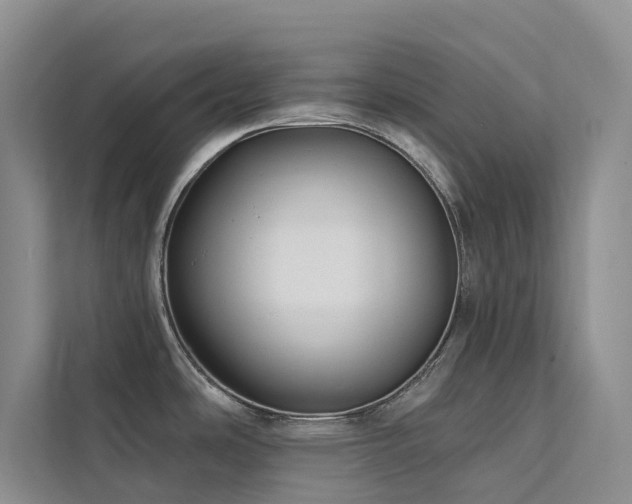 X0000112201486200908071424