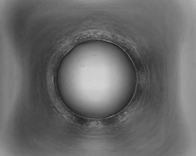 X0000112201489200908071423