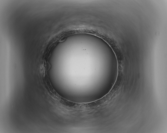 X0000112201493200908071423
