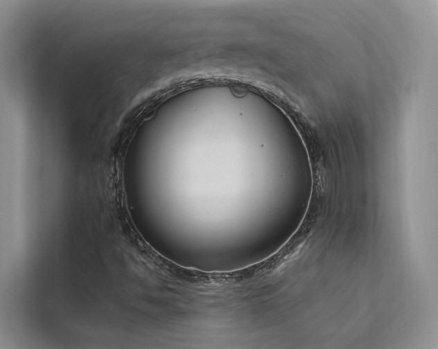 X0000112201494200908071423