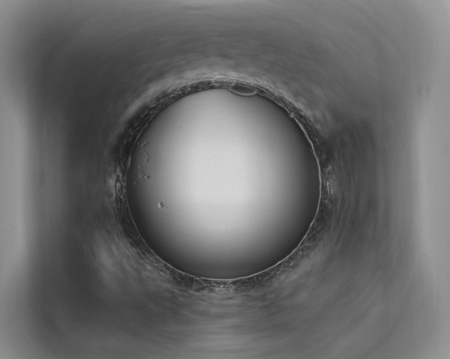 X0000112201495200908071423