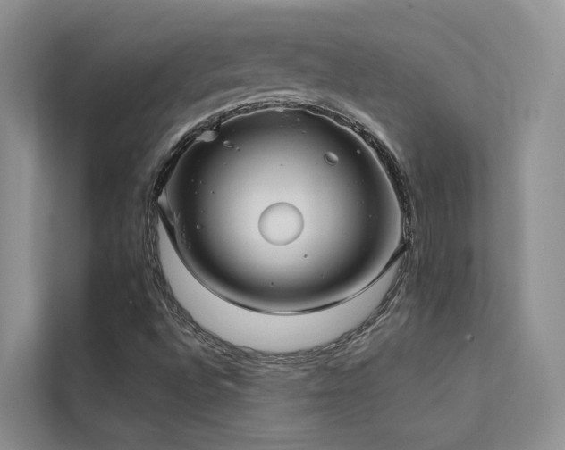 X0000112201496200908071423